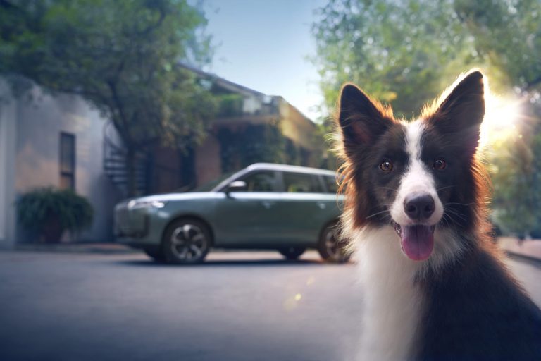 Left-Front-85o-Pet-in-the-Front-85-2048x1365